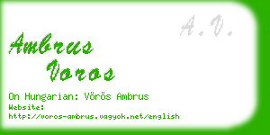 ambrus voros business card